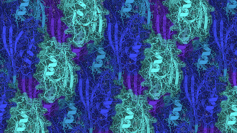 Snapshot from a molecular dynamics simulation of a protein crystal